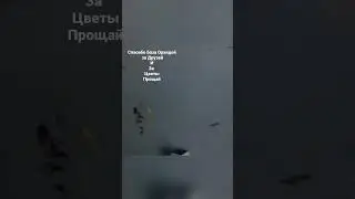 Прощай база Орхидей, спасибо за всё🤝