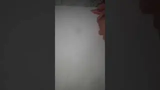 Аулада ақ және сұр қояндар жүр.