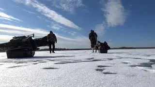 Winter fishing 2021 and HOW I COUNTED CROWS