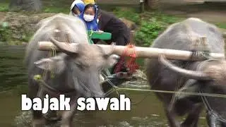 OUTBOND TK ISLAM PELANGI KOTA DEPOK PART 3 - PELITA VILLAGE CISEENG BOGOR - 7 MARET 2022