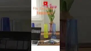 File Extension Essentials 