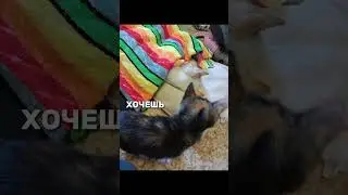 Извините что не по тебе но мне очень страшно!..
