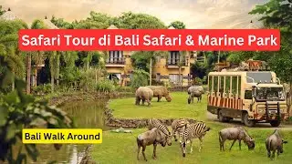 Sehari Berkunjung Ke Kebun Binatang Bali Safari