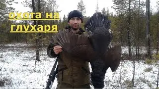 Hunting for wood grouse with a small-bore SM-2KO//Shot at a wood grouse at 148 meters
