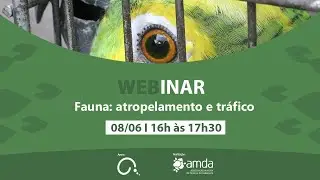 WEBINAR I Fauna: a tragédia do atropelamento e do tráfico