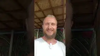 Влад Фридом о мухоморах и ежовике