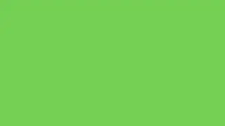 Green color screen of 1 hour | used in vfx background | screensaver