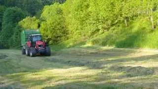 Grassilo 2013