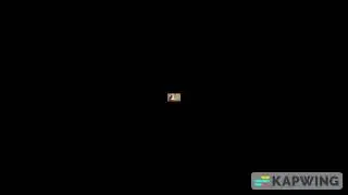 SMALLEST YOUTUBE VIDEO