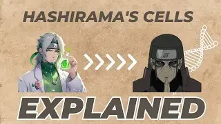 Decoding the Hashirama's Cells!