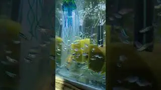 Немного неона.