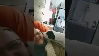 Dogs Wake Me