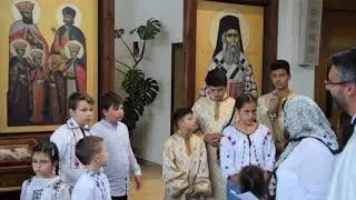 Șase pui și-o biată mamă de Vasile Militaru