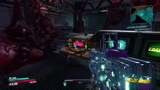 Zane Flynt: Pro Hacker