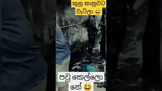 පව් කෙල්ල