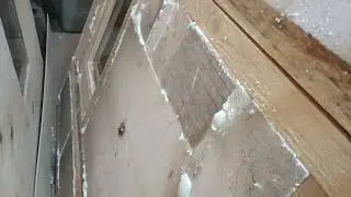 Новый проект