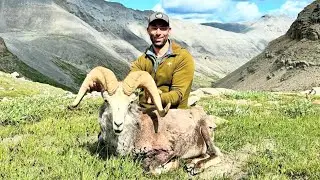 Northern BC Stone's Sheep Success with Adam Sarich - The MH Podcast EP 193
