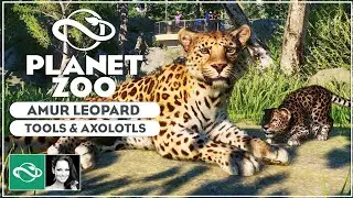 ▶ Amur Leopard, Backstage Tools & Axolotl! | Screenshot Reveals | Planet Zoo Conservation Pack |