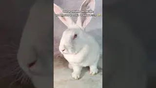 приходи в гости в 