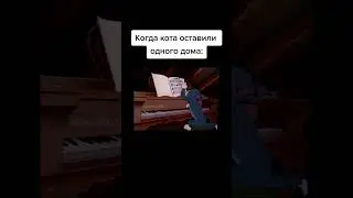 Когда кота оставили одного дома Тои 