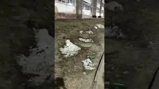 культура в нас, а не вокруг нас
