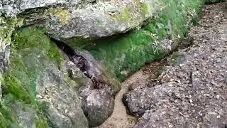 В Крым зимой. Плачущая скала.