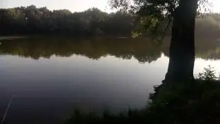 Рыбалка в Васильевской балке. Технопланктон.