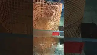 Чёткий Отсадник для Живородки!!!