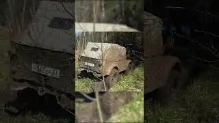 Бывает и такое #Shorts