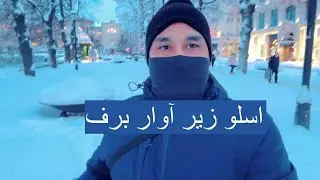 اسلو زیر آوار برف