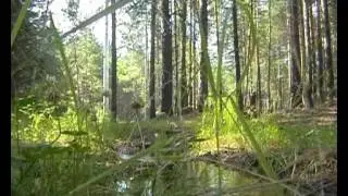 ''Геология'' - Как рождается знание