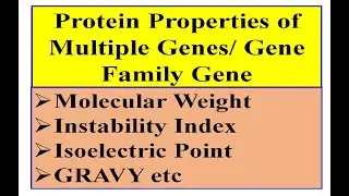 Protein properties 