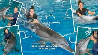 VIP Dolphin Encounter Package | Dubai Dolphinarium | Up to 20% Off Limited Time Offer