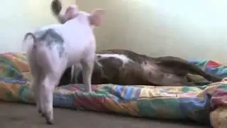 Tabitha and Susie