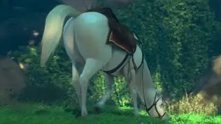 Horse Butt Moments Compilation (2021)