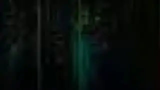ч.2/  9.08.24/  Существа