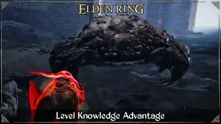 Level Knowledge Advantage | Elden Ring