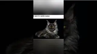 Топ-3 самых популярных пород кошек!!! #shorts #тикток
