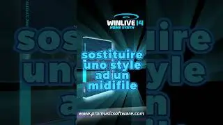 Wilive Home Synth 14