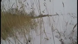 бывает и такое №2