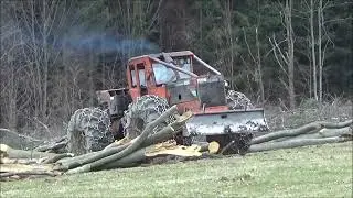 Těžba buku 2023 Timberjack 240E