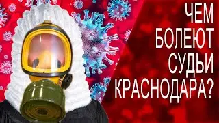 Арбитражный суд: судебный беспредел в Краснодарском крае. Судебный беспредел и арбитражный суд