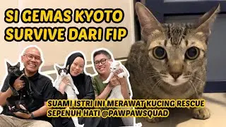 DISUNTIK TIAP HARI SELAMA 84 HARI! CERITA KYOTO SEMBUH DARI FIP