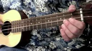 Pyramid Tape Wound Strings on Fretted U-Bass