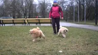 Как Лена развлекала Шерьку...