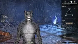 TESO Character creation Khajiit/ Создание персонажа Каджит