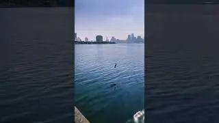 Sharjah