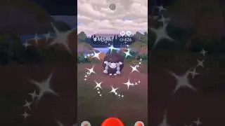✨Shiny Wooloo CAUGHT In Pokemon Go!✨ #shorts #pokemon