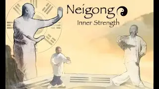 Neigong ☯︎  Inner Strength - Training the 4 Powers -
