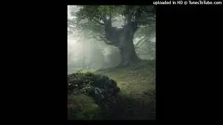 ambient joeyy x ʍΛrl໐n DuBois + shedtheory type beat - (prod. melokaj)